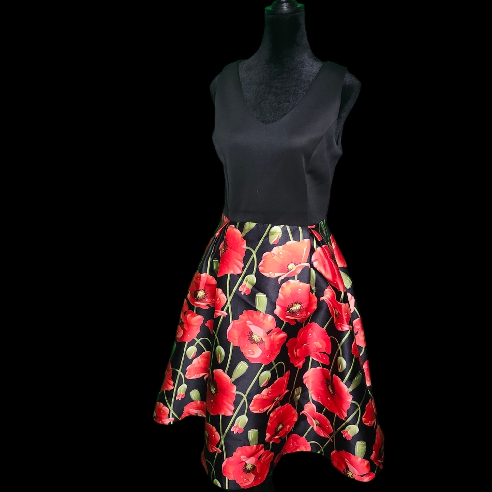 Poppy Dress - Picture 3 of 3